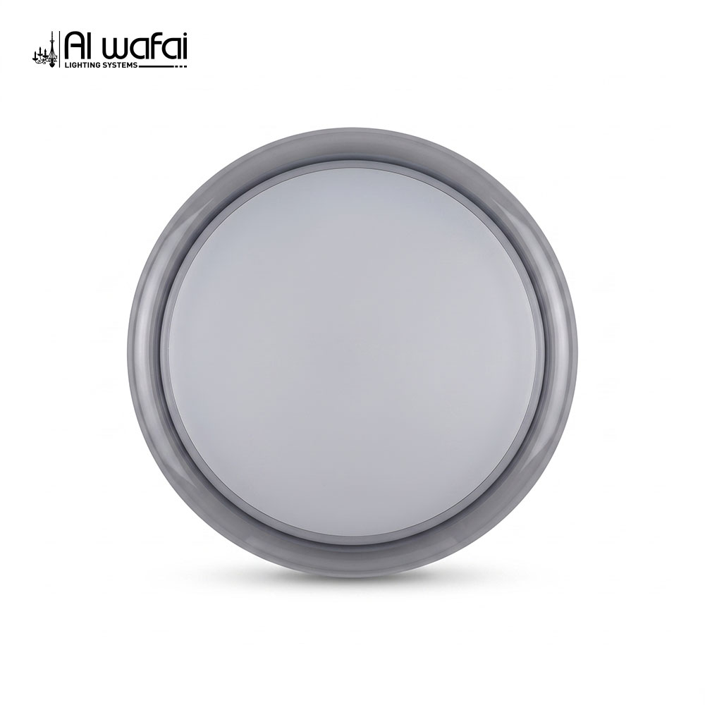 LED Ceiling Light 