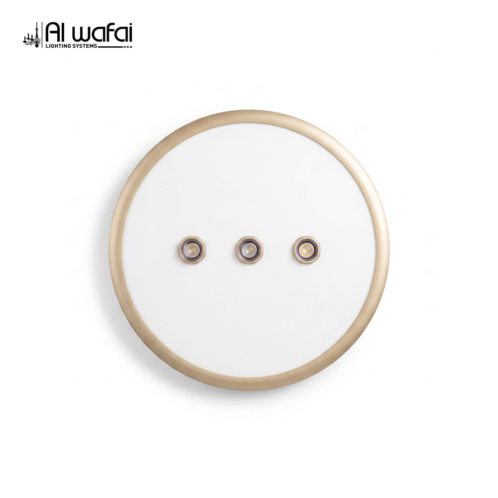 LED Ceiling Light 